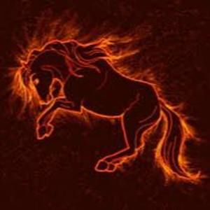 Meet your Posher, Sal